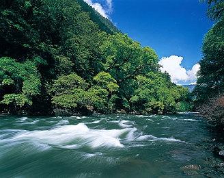 《堡垒之夜》冬日节活动 上线《蜘蛛侠：英雄无归》荷兰弟和MJ皮肤